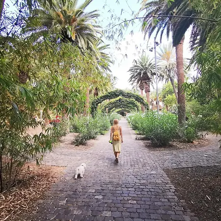 Home2book Spacious Family Home, Cruz Center Appartement Santa-Cruz de Ténérife