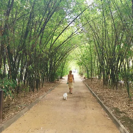 Home2book Spacious Family Home, Cruz Center * סנטה קרוז דה טנריף